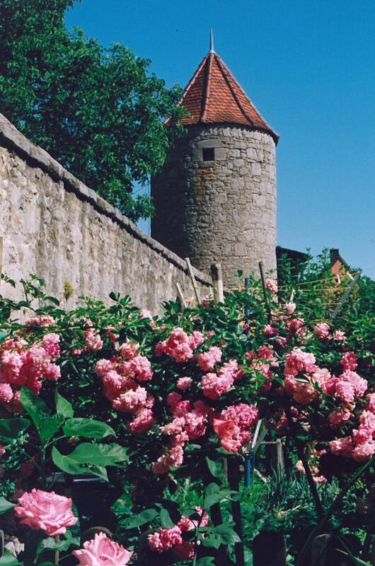 sog._Eulenturm