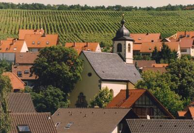  Früher in den Weinbergen, heute im Neubaugebiet